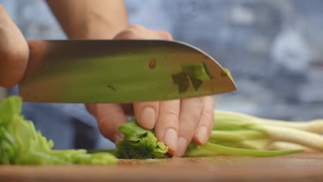 Para-Cortar-Cebollas-Verdes.-Los-Cortes-De-Cebolla-Verde-Sobre-Una-Tabla-De-Madera.-Comida-Sana